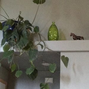 Meet your Posher, Maryanne